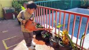 anak menyiram tanaman